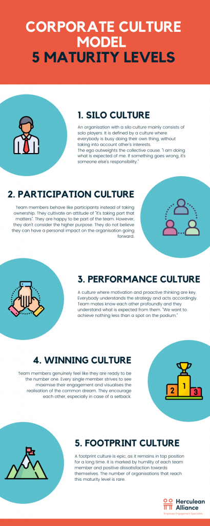 Culture Maturity Model